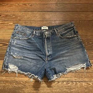 Agolde Dee Vintage High Rise Shorts